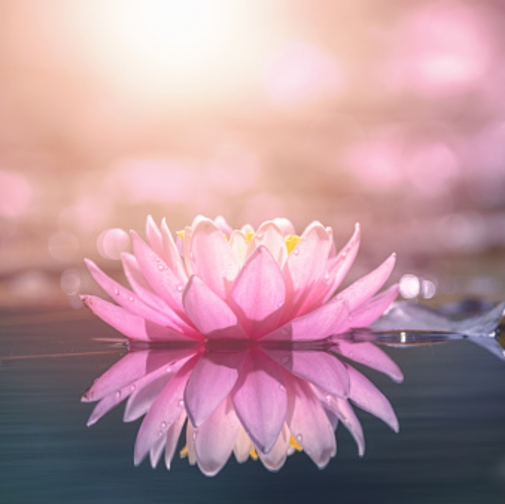 Meet your Posher, Keirstin